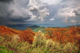 The Smokey Mountains-9043.jpg The Smokey Mountains-9043.jpg